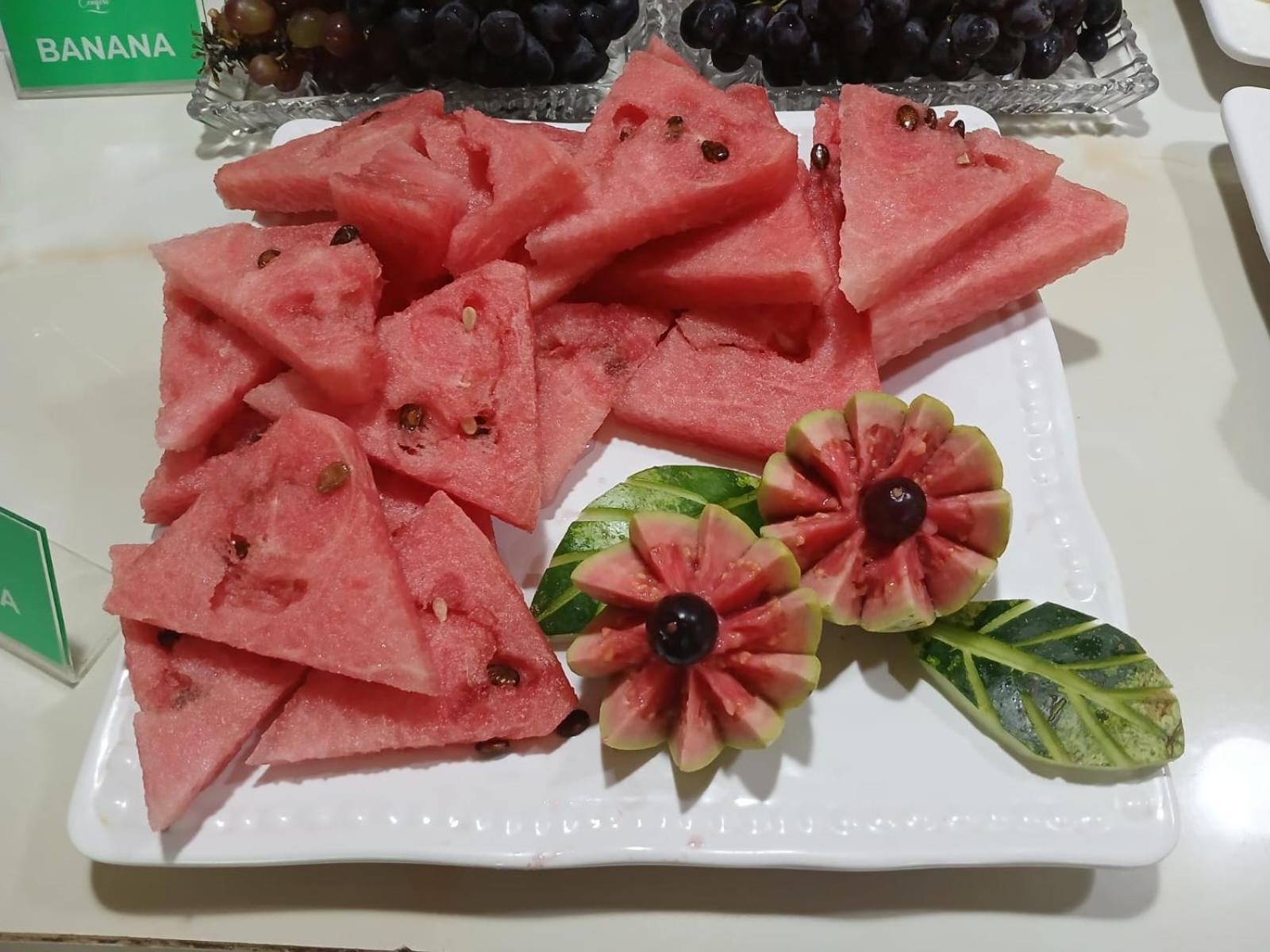 Hotel Village Garanhuns Εξωτερικό φωτογραφία